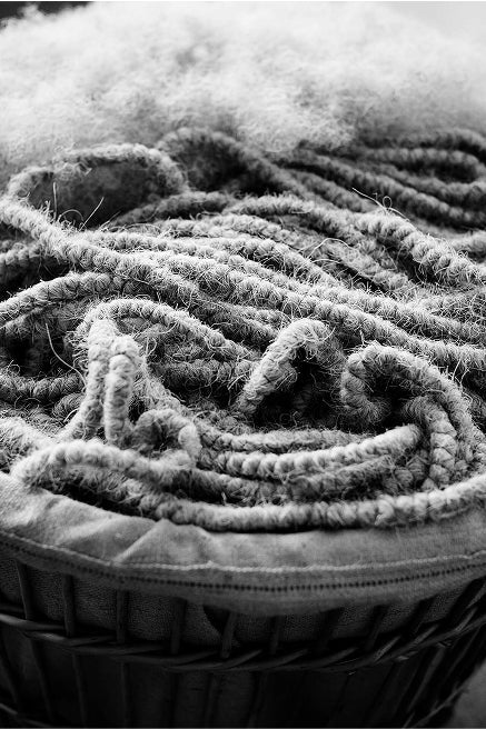 Close up of detached horse hair and in tresses