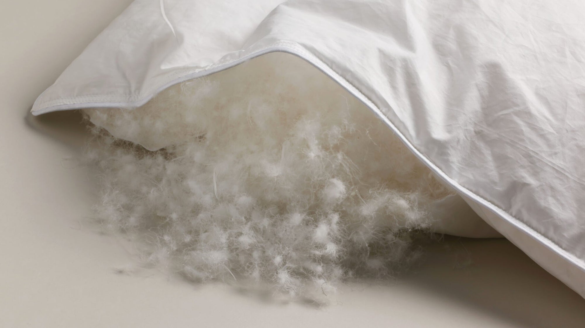 A close-up of the Siberian down inside one of our pillows