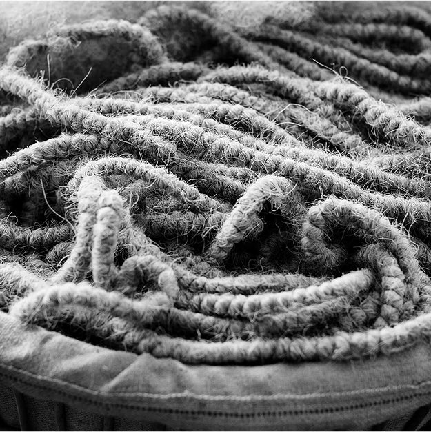 Black and white close-up featuring horsehair tresses